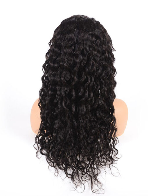 Wig Type 13 x 4