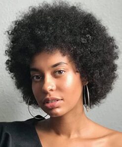 Afro Wigs for Black Women Human Hair Short Afro Kinky Curly Wigs Human Hair Bouncy Fluffy Natural Looking