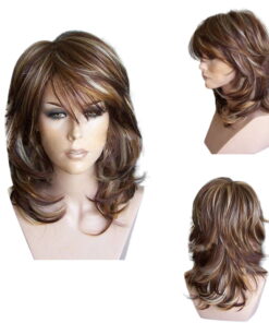 Side Bang Highlighted Layered Synthetic Wig