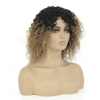 wholesale 10A human hair ombre 1B/30 jerry curly wigs machine made wig